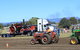 SteamFest 2021 - thumb 2