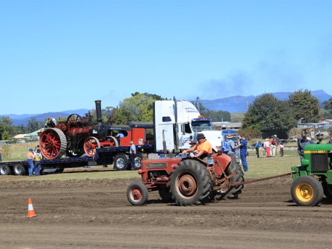 SteamFest 2021 - Accommodation Georgetown 2