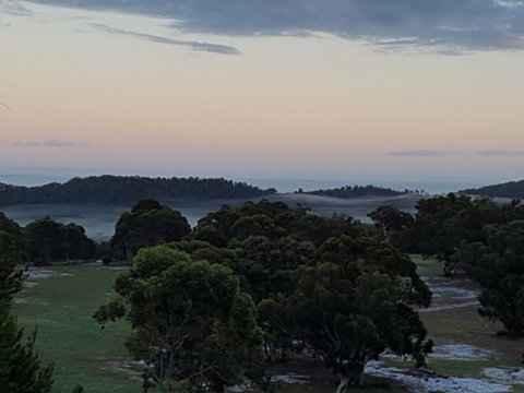 Straddie Festival Of Golf - Accommodation Georgetown 1