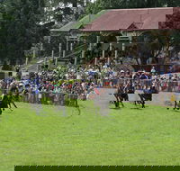Tumut Boxing Day Races - Accommodation Georgetown