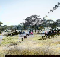 Weddin Mountain Muster - Accommodation Georgetown