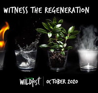 Wildfest - Annual Festival - Accommodation Georgetown