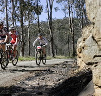 Wollombi Wild Ride Mountain Bike Ride - Accommodation Georgetown