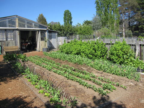 All Season Cold Climate Organic Vegetable Growing - Accommodation Georgetown 1