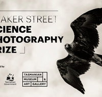 Beaker Street Science Photography Prize - Accommodation Georgetown