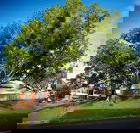 Big Bat Wildlife and Eco Festival - Accommodation Georgetown