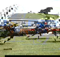 Bong Bong Picnic Races - Accommodation Georgetown
