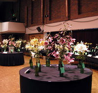 Burnie Lilium Show - Accommodation Georgetown