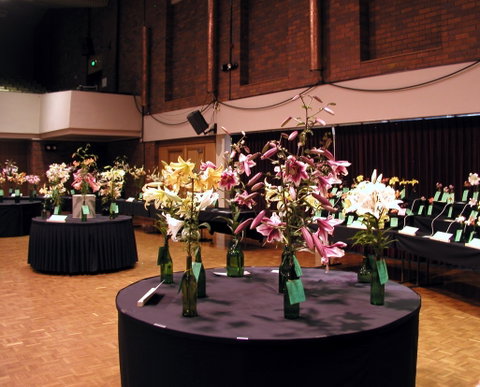 Burnie Lilium Show - Accommodation Georgetown 0