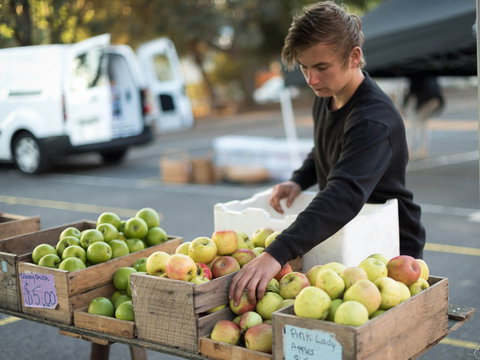 Carlton Farmers' Market - Accommodation Georgetown 0