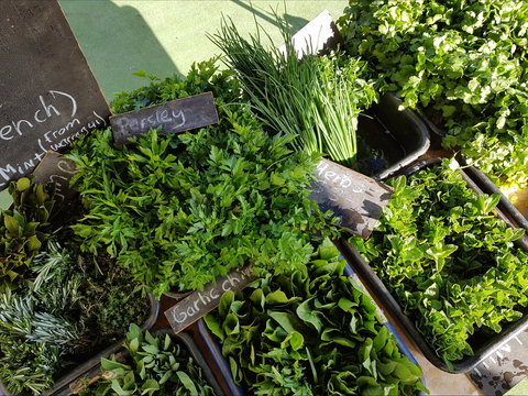 Carlton Farmers' Market - Accommodation Georgetown 2