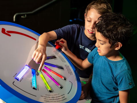 Colour: See The World In A New Light - Accommodation Georgetown 2