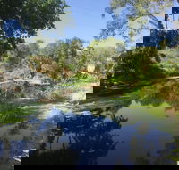 Conservation Volunteers Australia Townsville - Creekwatch - Accommodation Georgetown