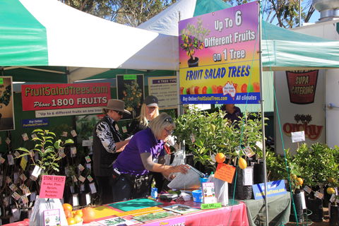 CRT FarmFest - Accommodation Georgetown 2
