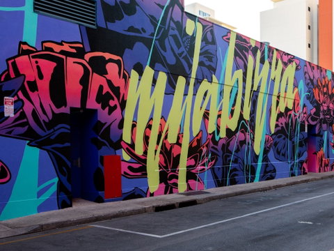 Darwin Street Art Festival - Accommodation Georgetown 1