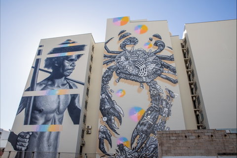 Darwin Street Art Festival - Accommodation Georgetown 2