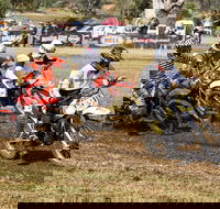 Dust Hustle Queensland Moto Park - Accommodation Georgetown