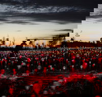 Field of Light Uluru - Accommodation Georgetown