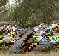 Grazing Down the Lachlan - Accommodation Georgetown