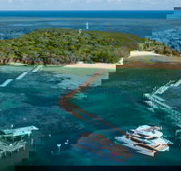 Great Adventures Green Island Ocean Swim - Accommodation Georgetown