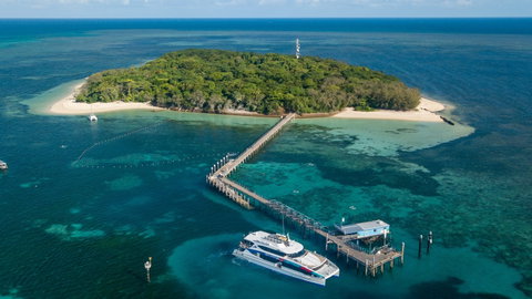 Great Adventures Green Island Ocean Swim - Accommodation Georgetown 0