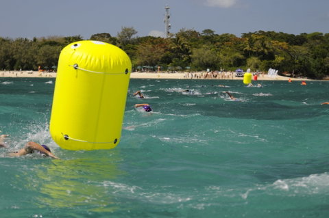 Great Adventures Green Island Ocean Swim - Accommodation Georgetown 1