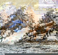 Gundagai Rodeo - Accommodation Georgetown