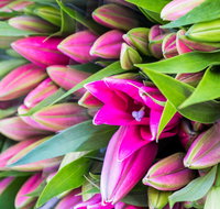 Harvest Launceston Community Farmers' Market - Accommodation Georgetown