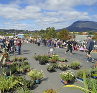 Hobart Showground Sunday Market - Weekly - Accommodation Georgetown