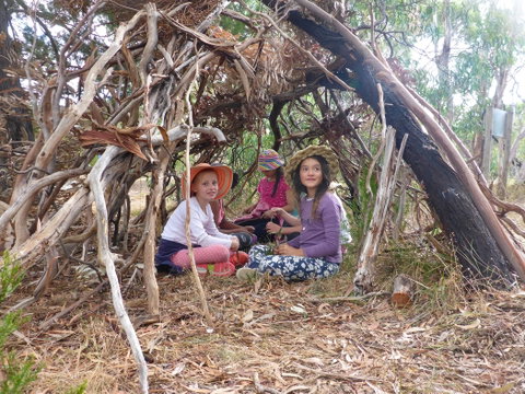 July 2020 Holidays- Forest Adventures Treasure Hunt - Accommodation Georgetown 2