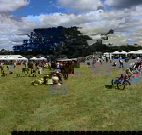 Majors Creek Festival - Accommodation Georgetown