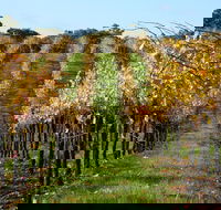 Miners Ridge Wine Tasting - Accommodation Georgetown
