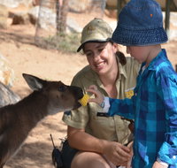 Mums and Cubs And Dads too - Accommodation Georgetown