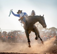 Rodeo by the Sea - Streaky Bay - Accommodation Georgetown