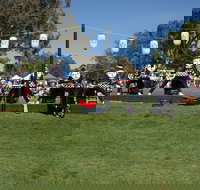 Sakura Matsuri  - Cherry Blossom Festival - in doubt due to Covid-19 - Accommodation Georgetown