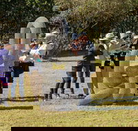 Sculpture for Clyde - Outdoor Exhibition - Accommodation Georgetown