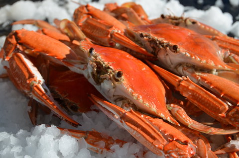 Seafood On Spencer - Accommodation Georgetown 1