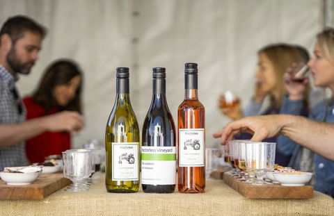 Southern Highlands Food And Wine Festival - Accommodation Georgetown 2