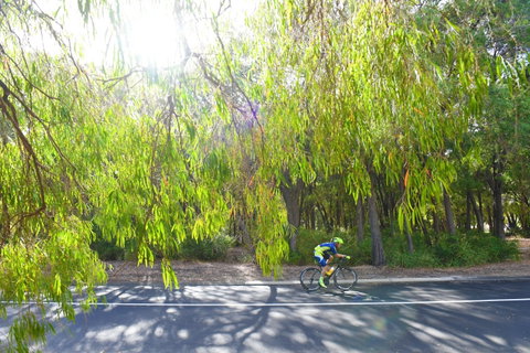 SunSmart FunMan Triathlon - Accommodation Georgetown 0