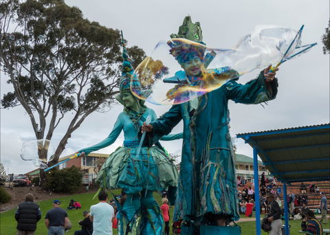 Tulip Festival Wynyard - Accommodation Georgetown 0