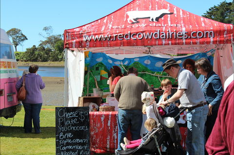 Tulip Festival Wynyard - Accommodation Georgetown 1