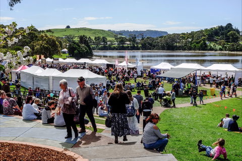 Tulip Festival Wynyard - Accommodation Georgetown 2