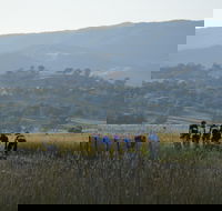 Tumut Cycle Classic - Accommodation Georgetown