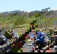 Yoga in the Vines - Accommodation Georgetown