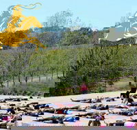 Yoga in the Vines - Accommodation Georgetown
