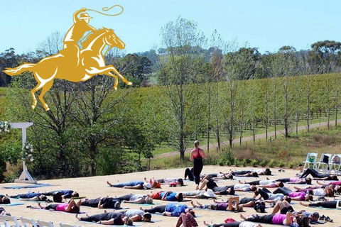 Yoga In The Vines - Accommodation Georgetown 0