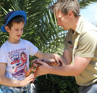 Zoocation at the National Zoo  Aquarium - Accommodation Georgetown