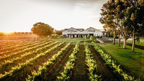 Aged Wine And Vintage Pies - Accommodation Georgetown 2