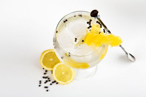 Online Live Streaming Class: Make Four Gin Cocktails - Accommodation Georgetown 0