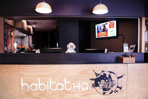 Habitat HQ - Hostel - Accommodation Georgetown 3